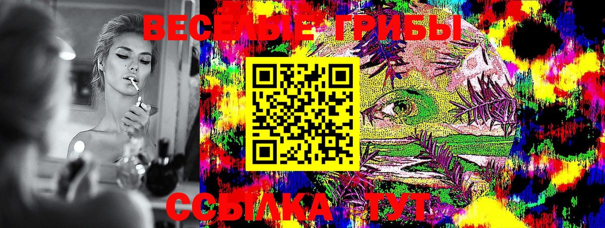 Псилоцибиновые грибы GOLDEN TEACHER Славянск-на-Кубани